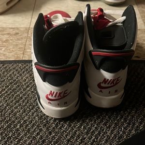 Jordan carmine 6s
